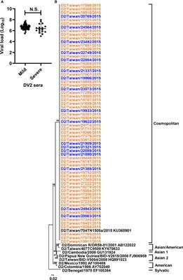 Assessment of the Risk of Severe Dengue Using Intrahost Viral Population in Dengue Virus Serotype 2 Patients via Machine Learning